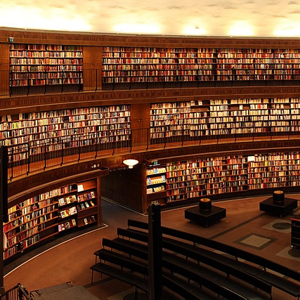 library shelves books